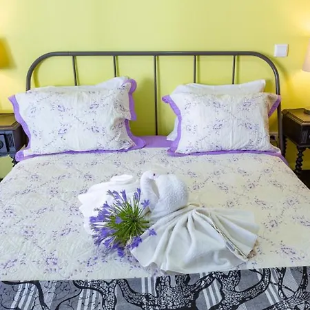 Costa & Dias Farm stay Vila Verde (Braga)